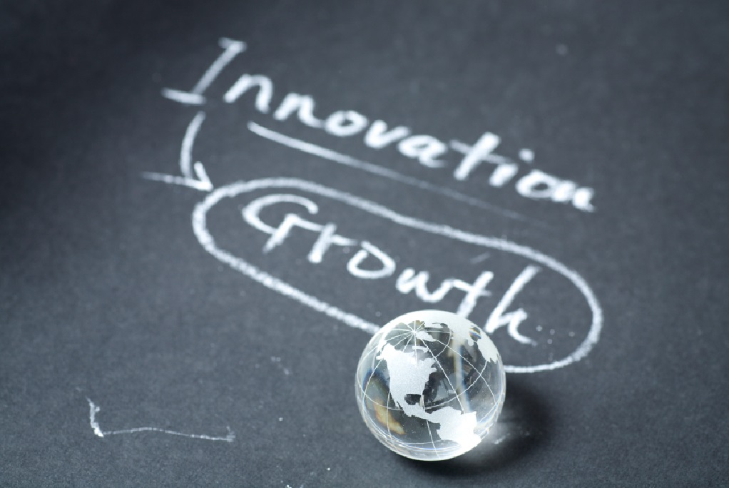 Building an Innovation and Growth Culture